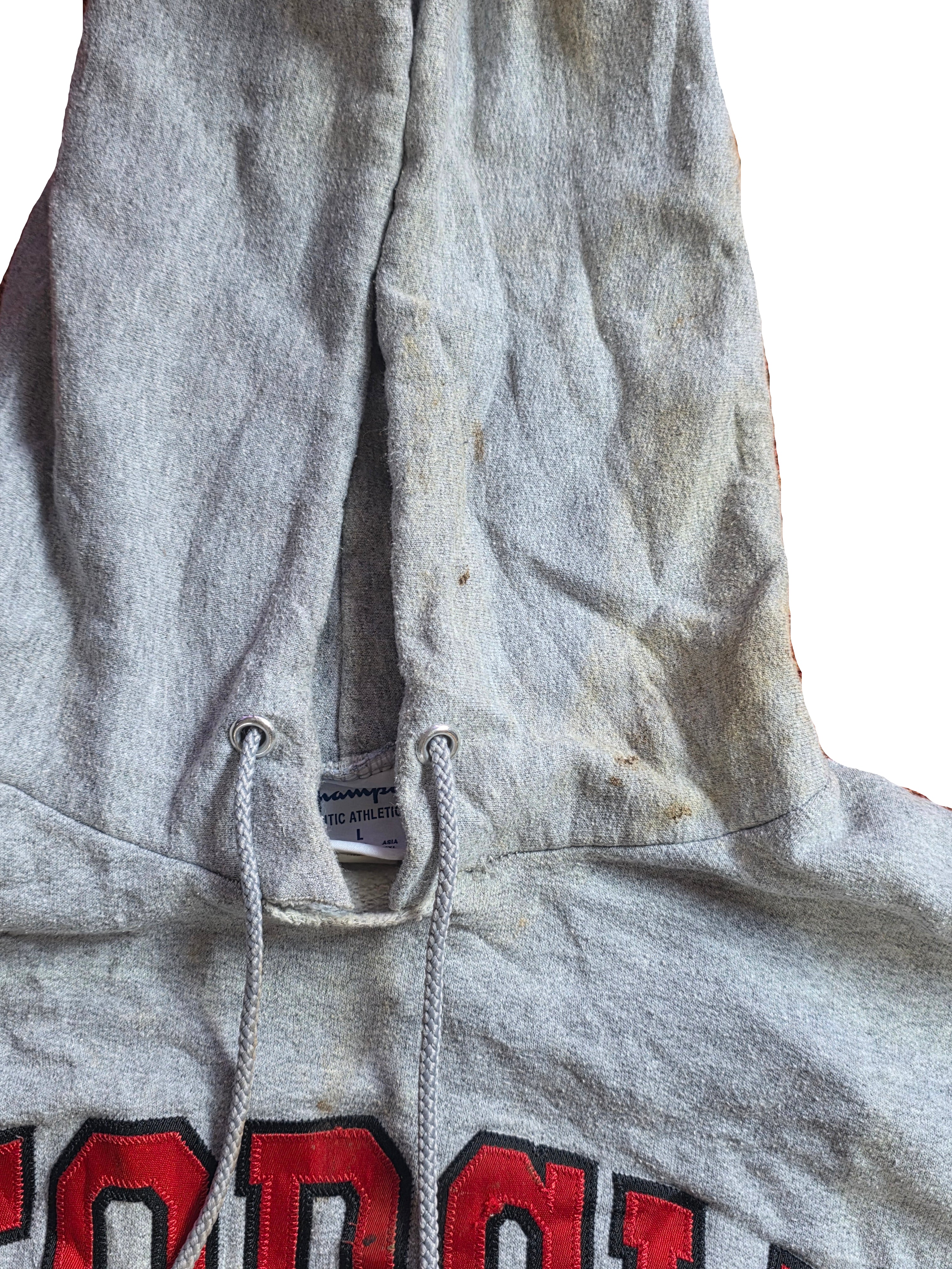 Champion Hoodie Georgia L