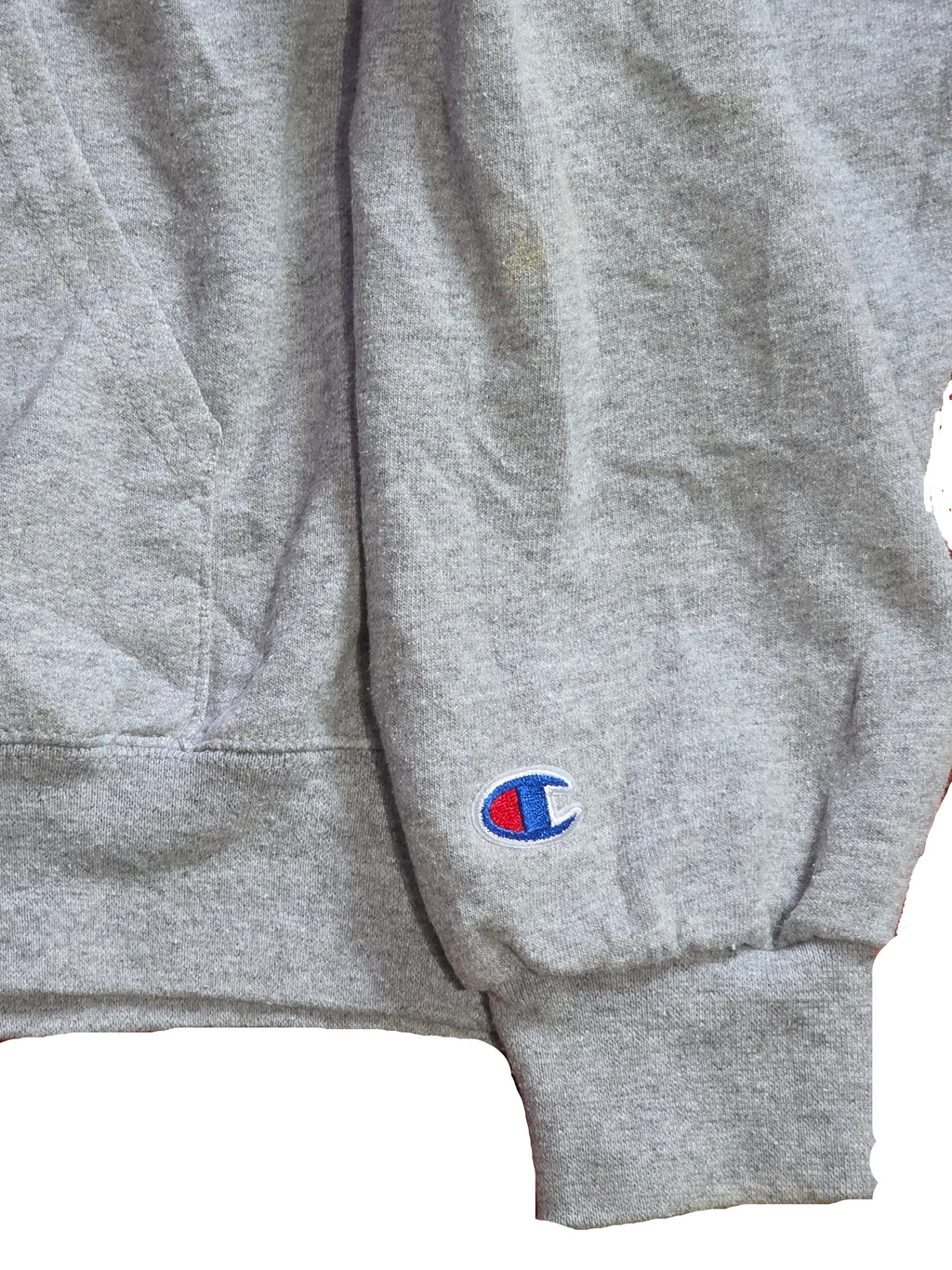 Champion Hoodie Georgia L
